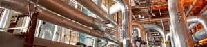 Cepex, sezione industriale