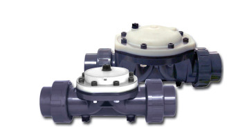 other valves